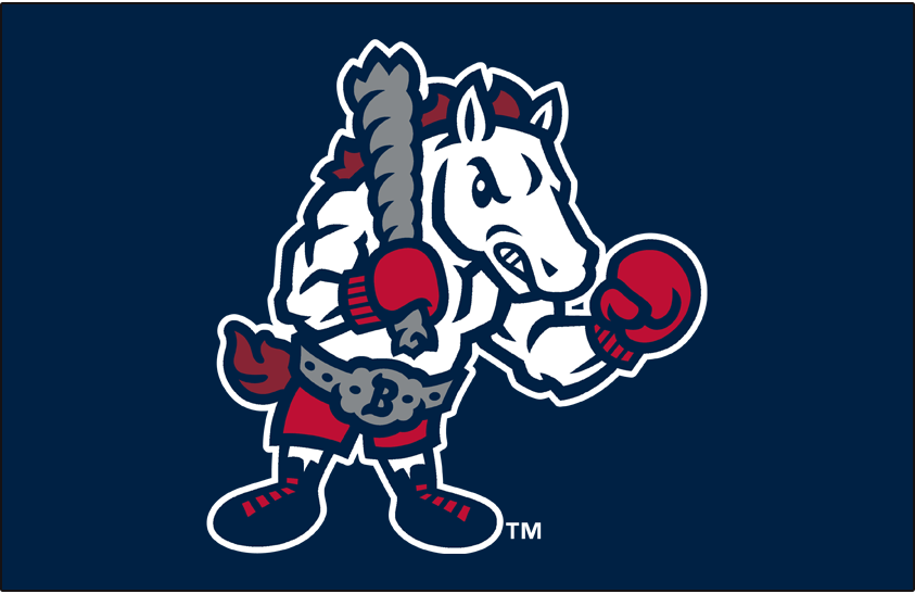 Binghamton Rumble Ponies 2017-Pres Cap Logo iron on transfers for clothing